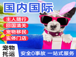禄口机场空运国际宠物托运 【国
